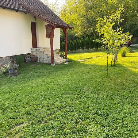 Rudnicki Eko Breg Villa Rudnik Buitenkant foto