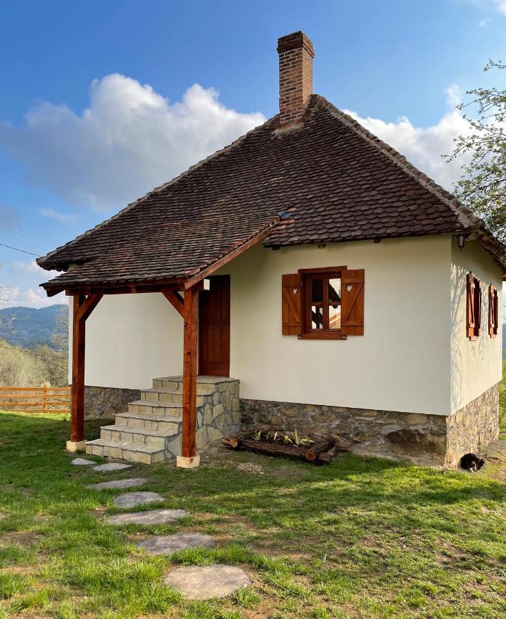 Rudnicki Eko Breg Villa Rudnik Buitenkant foto