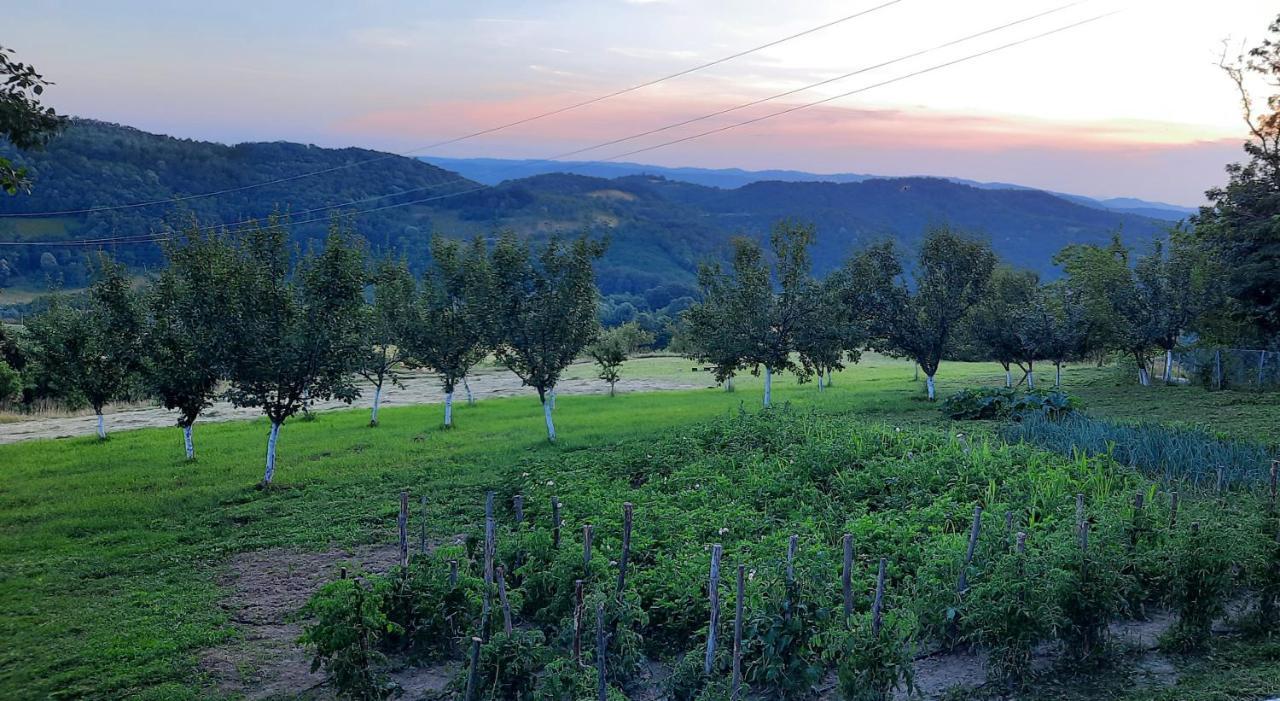 Rudnicki Eko Breg Villa Rudnik Buitenkant foto