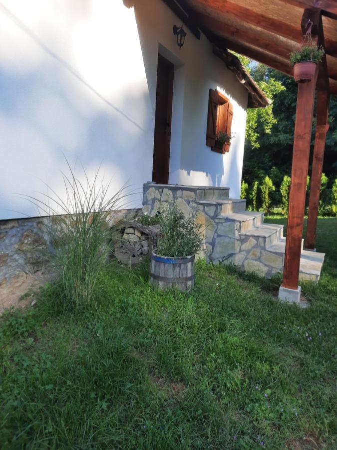 Rudnicki Eko Breg Villa Rudnik Buitenkant foto