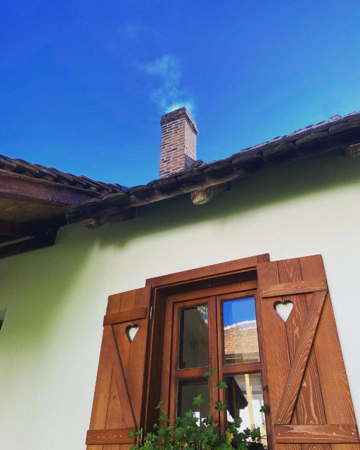 Rudnicki Eko Breg Villa Rudnik Buitenkant foto