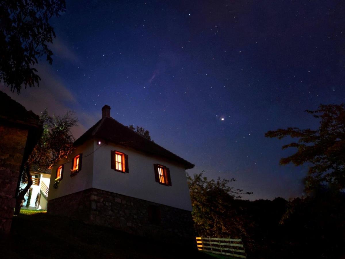 Rudnicki Eko Breg Villa Rudnik Buitenkant foto