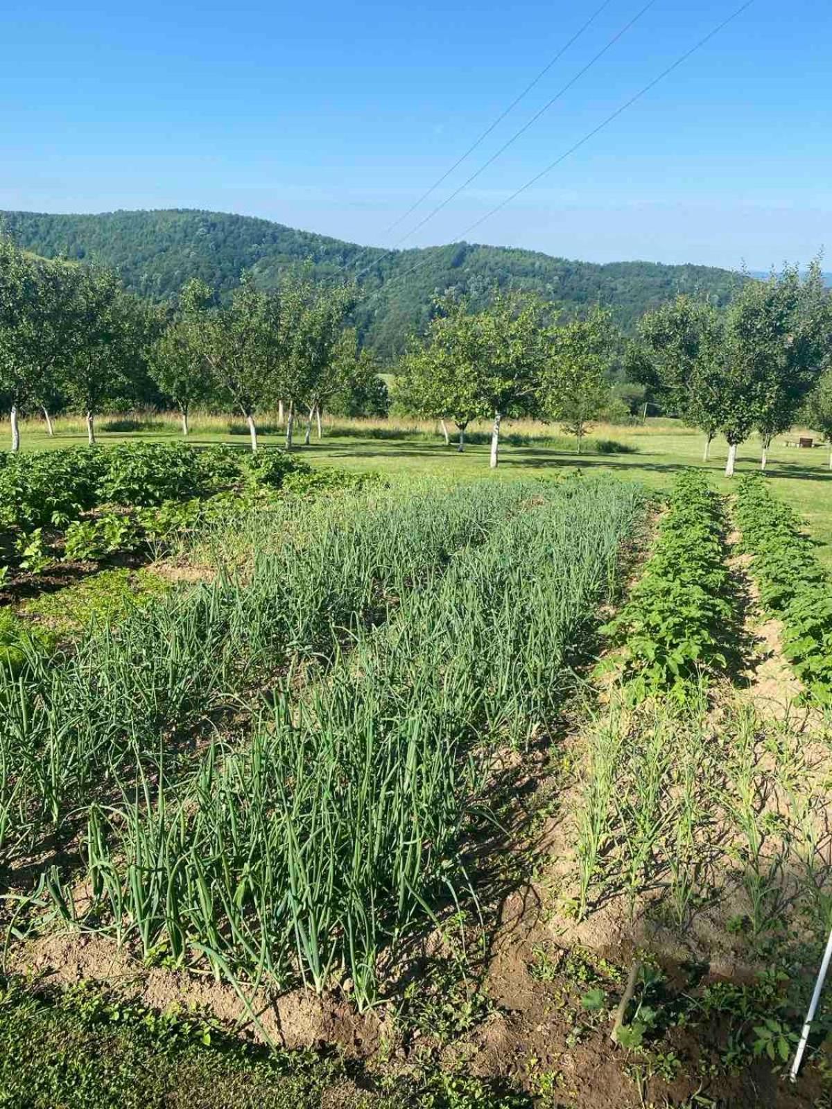 Rudnicki Eko Breg Villa Rudnik Buitenkant foto